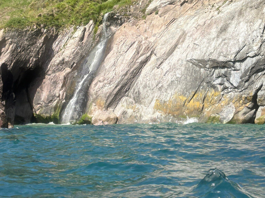 Sea Kayak Devon-达特茅斯必去景点