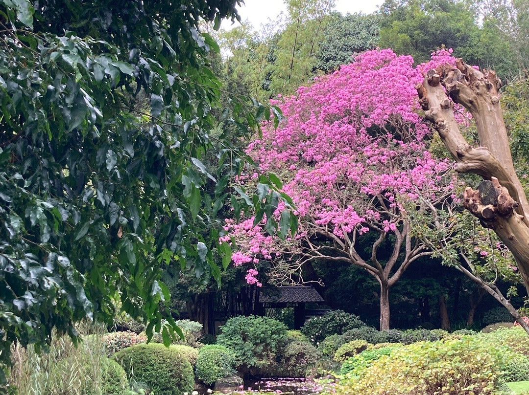 布里斯班植物园-布里斯班必去景点