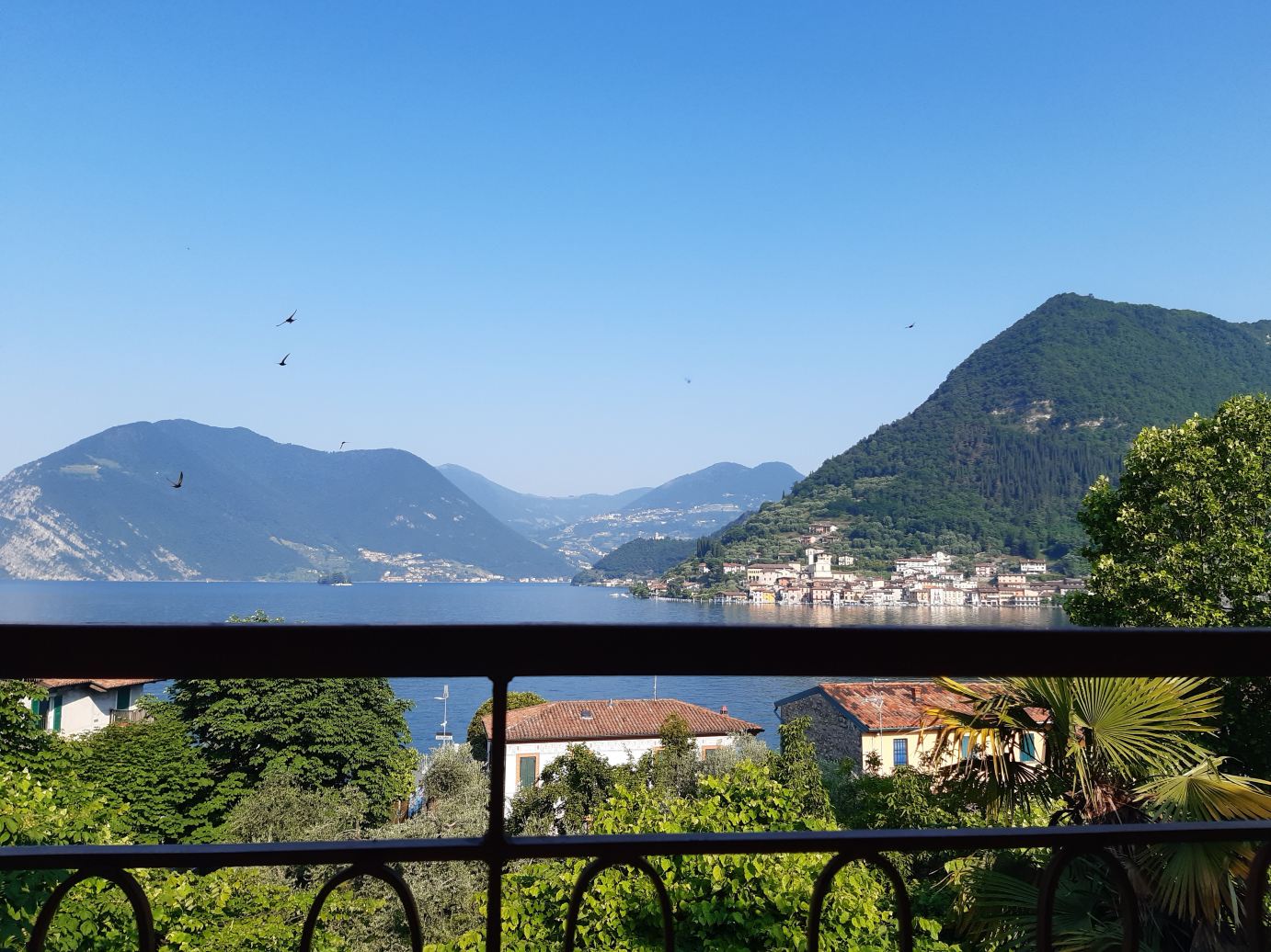 Albergo Ristorante Aquila-旅行者