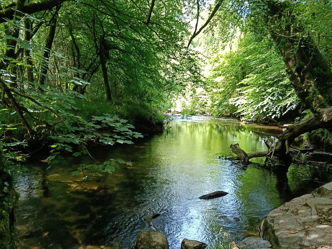 St Neot Two Valleys-St. Neot必去景点