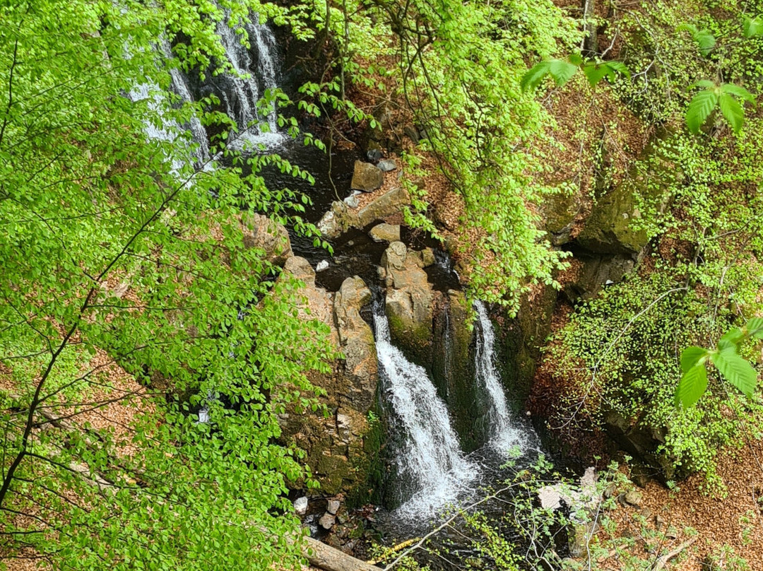 Forsakar Nature Reserve-Degeberga必去景点