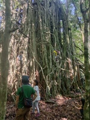 Ujung Kulon Tourism-Carita必去景点