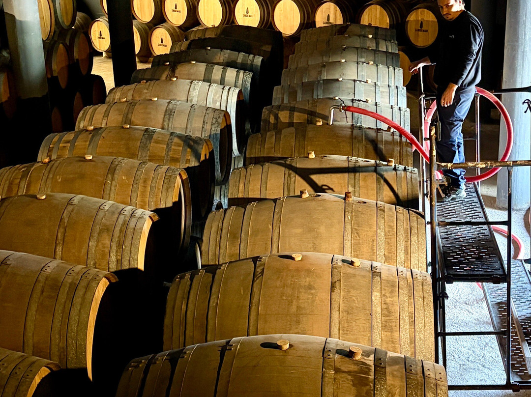 Quinta do Seixo - Sandeman-Tabuaco必去景点