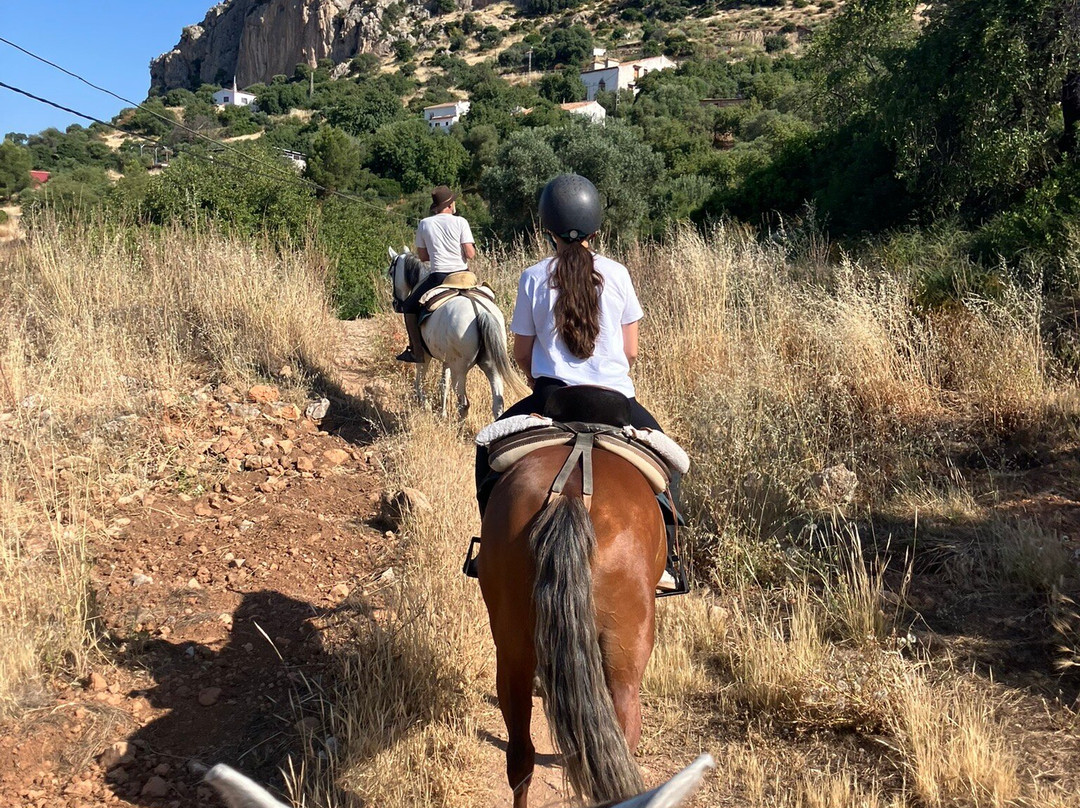 Horse Riding El Chorro-El Chorro必去景点