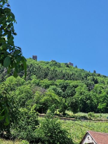 Chambres d'hôtes Gilles Schneider-旅行者
