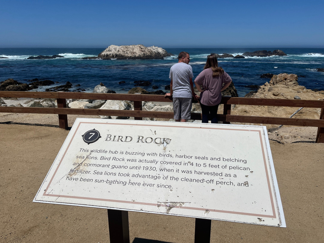 Bird Rock Vista Point-圆石滩必去景点