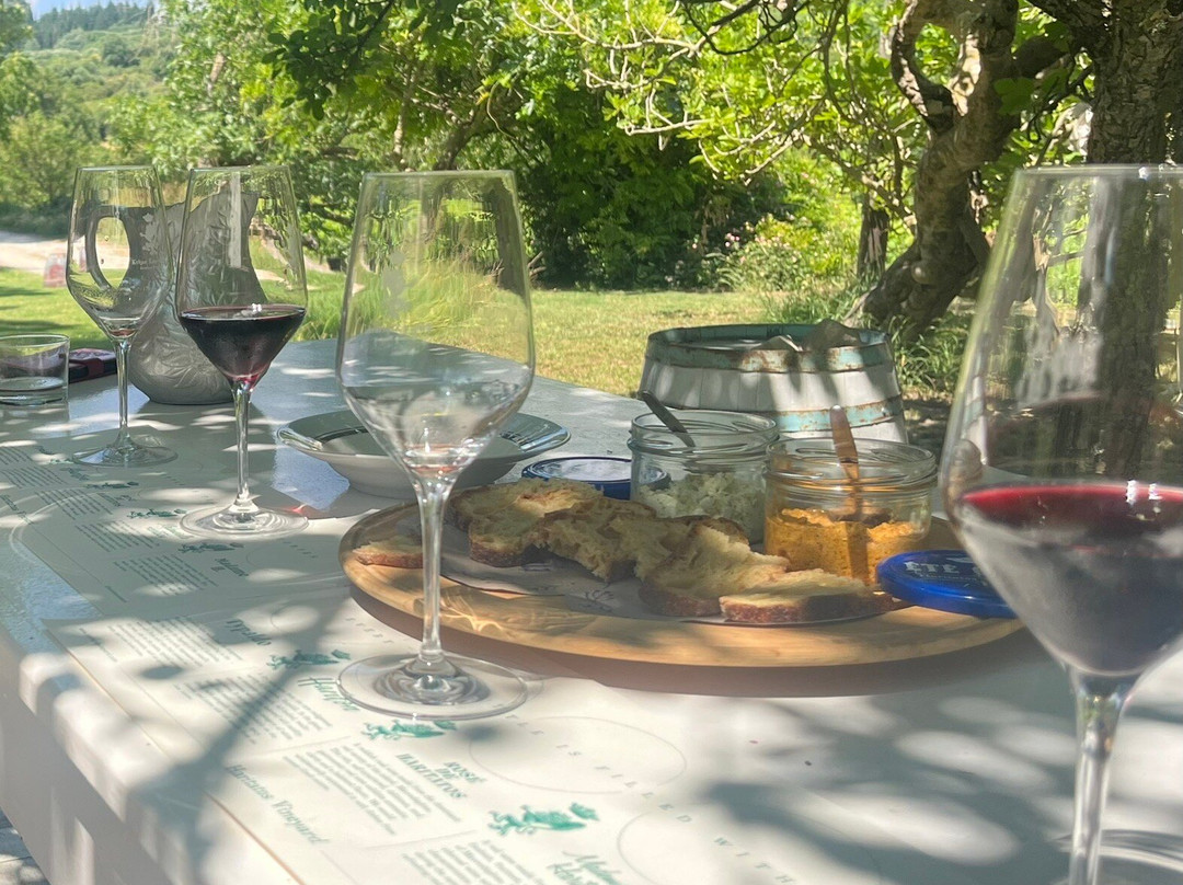 Haritatos Vineyard-Lixouri必去景点