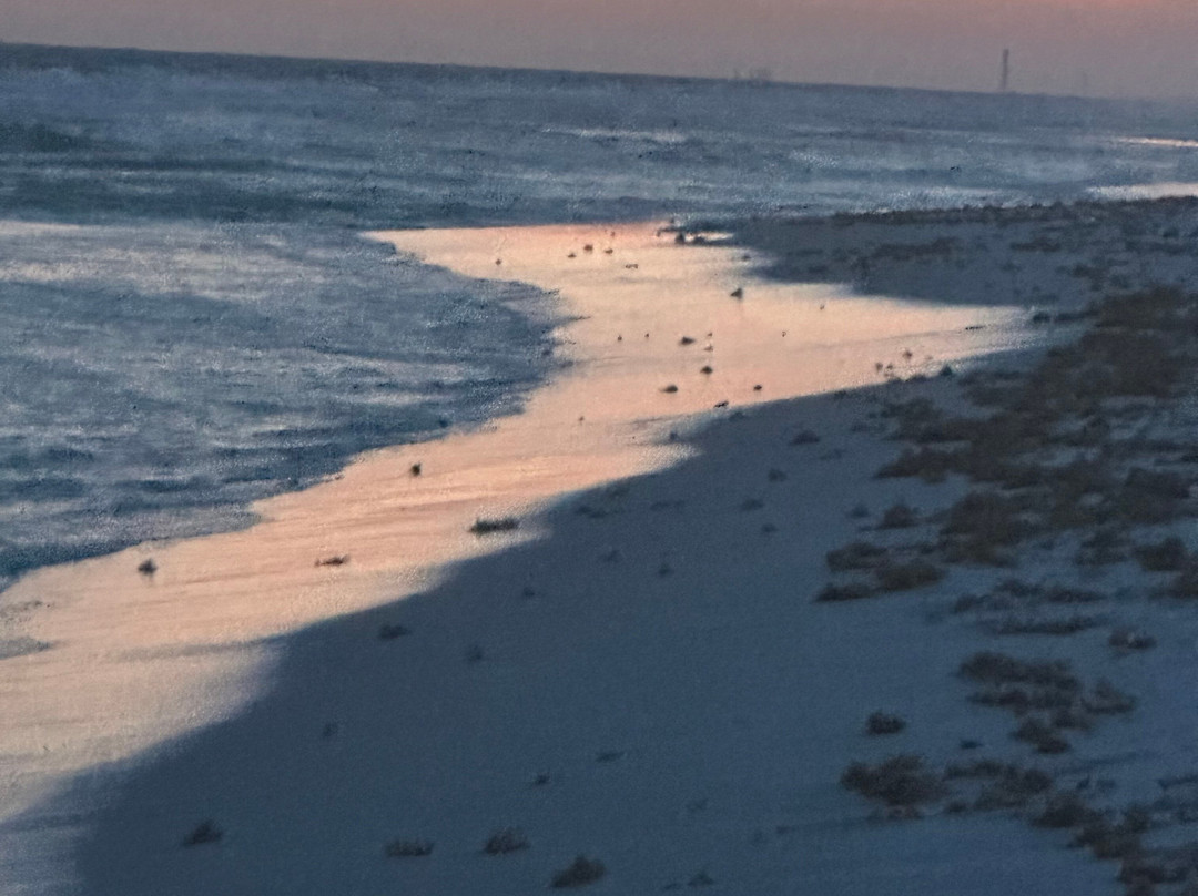 Okaloosa Island-华尔顿堡滩必去景点