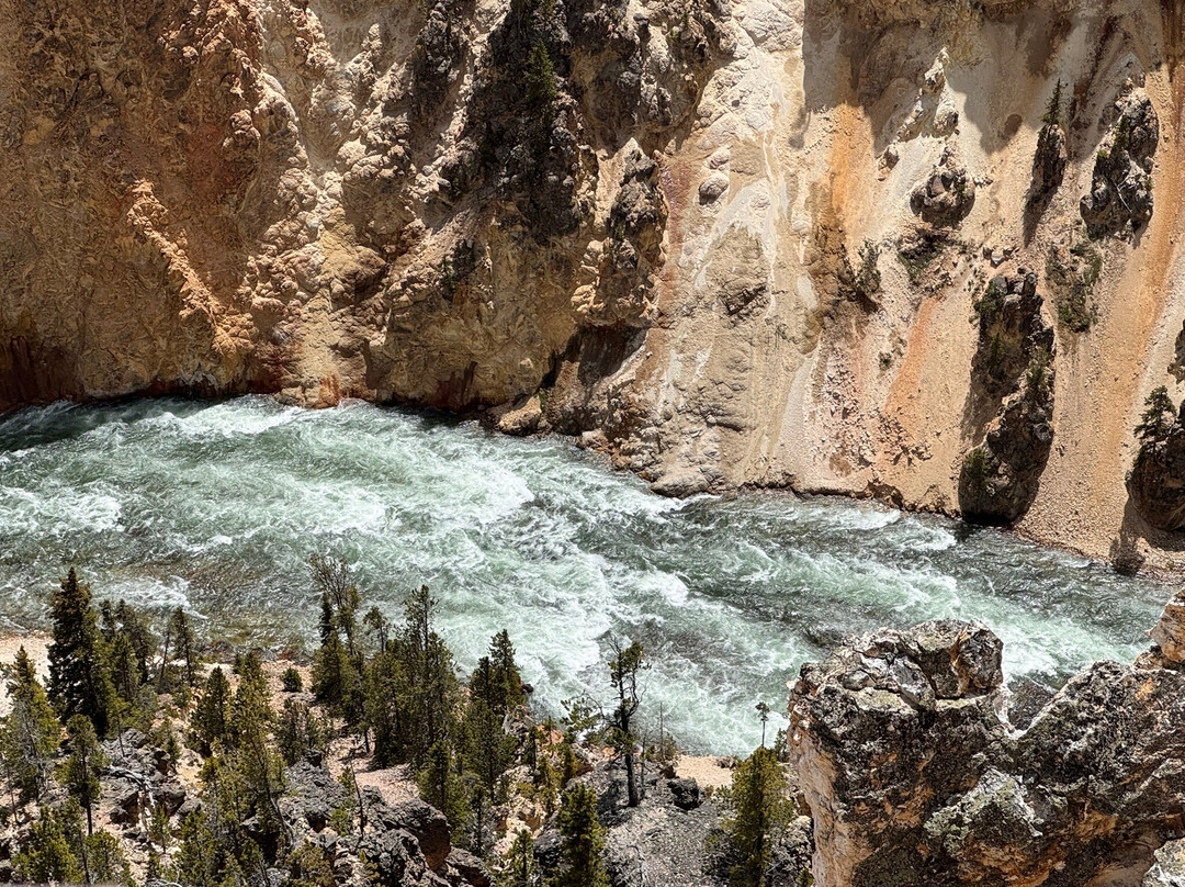 Jackson Hole Eco Tour Adventures-杰克逊必去景点