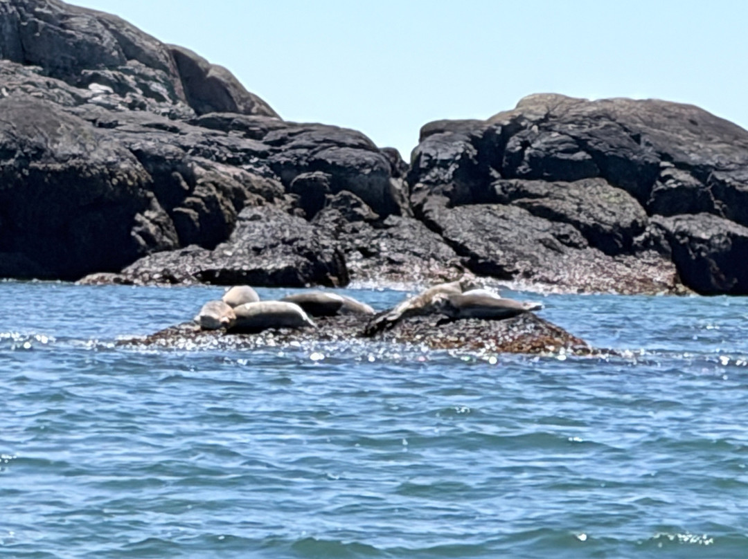 Robertson Sea Tours & Adventures-Milbridge必去景点