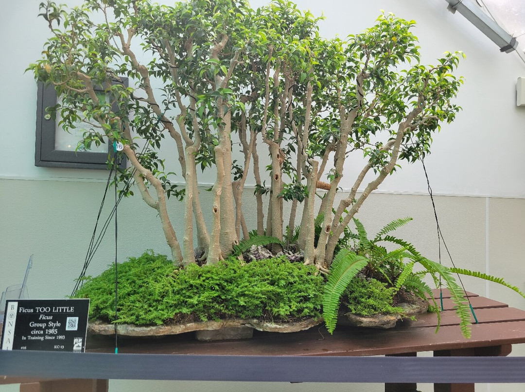 Krohn Conservatory-辛辛那提必去景点