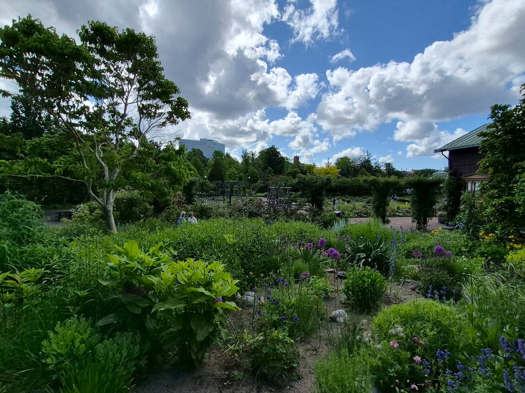 The Garden Society (Tradgardsforeningen)-哥德堡必去景点