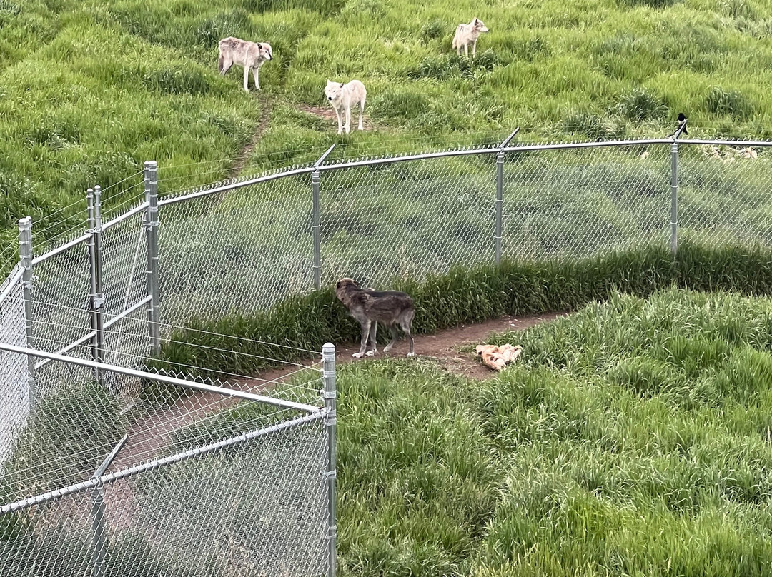 Howlers Inn Bed & Breakfast and Wolf Sanctuary主图