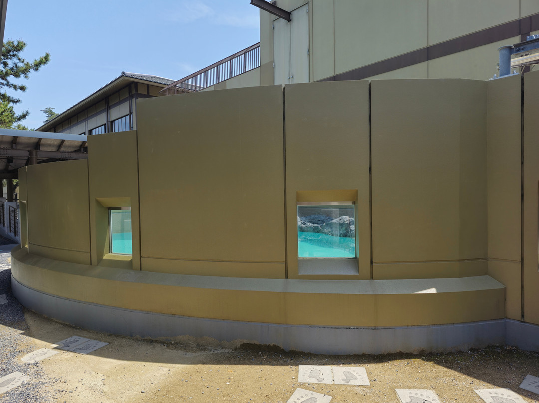 Miyajima Public Aquarium-廿日市市必去景点