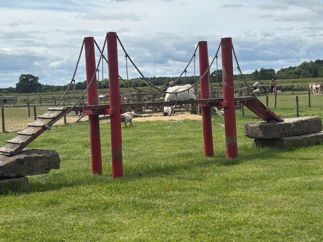 Piglets Adventure Farm-约克必去景点