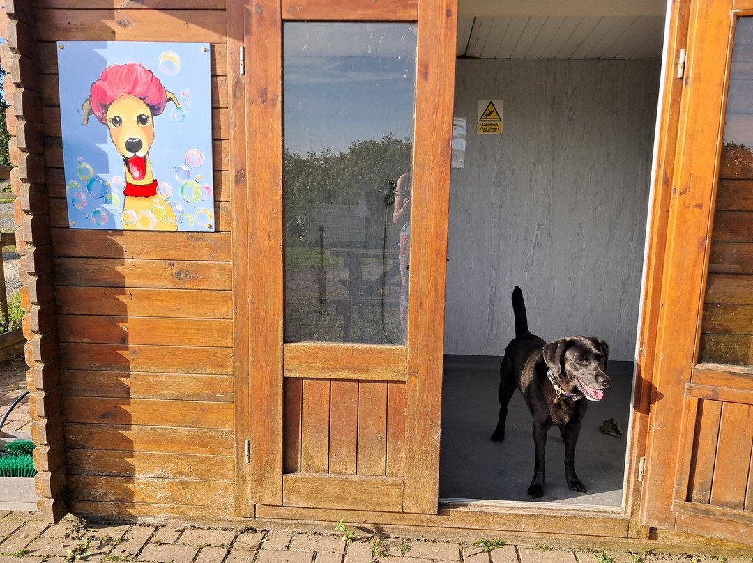 Warcombe Farm Camping Park主图