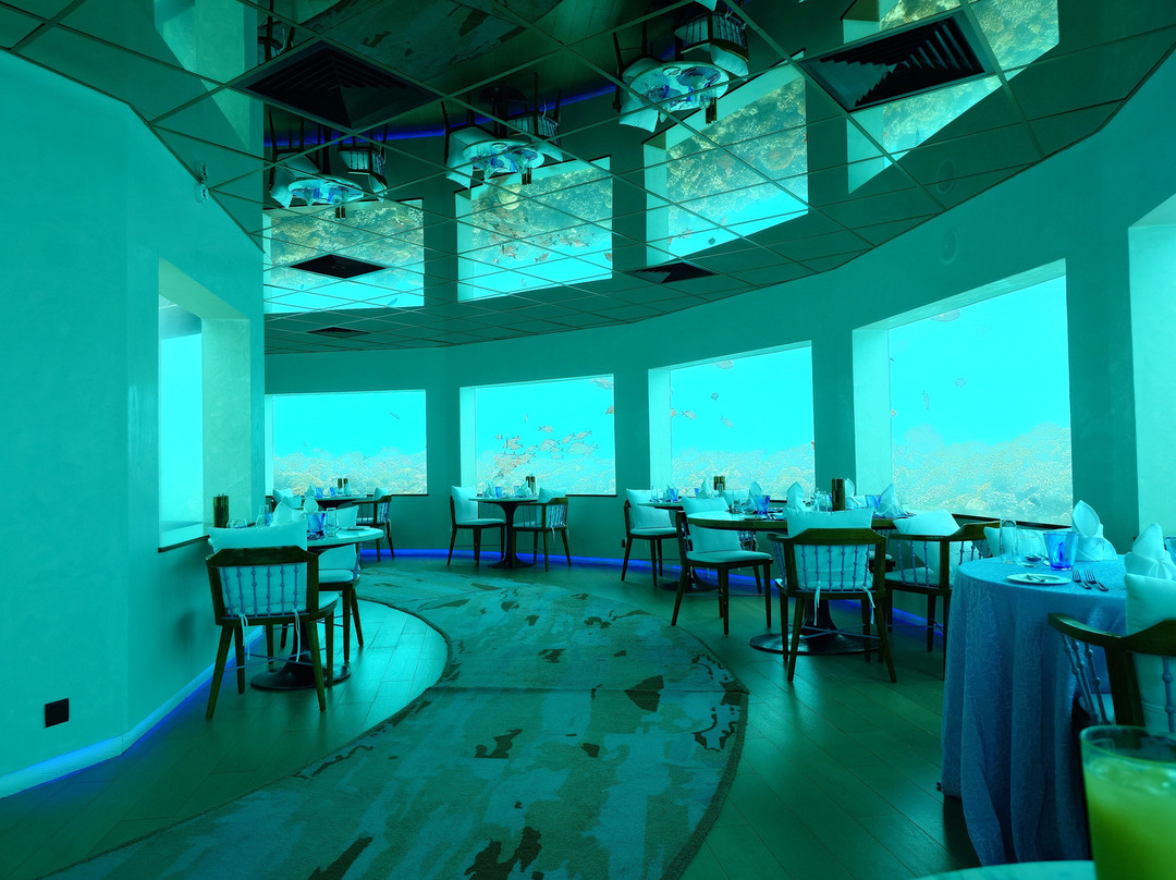 Only Blu - Under Ocean Restaurant