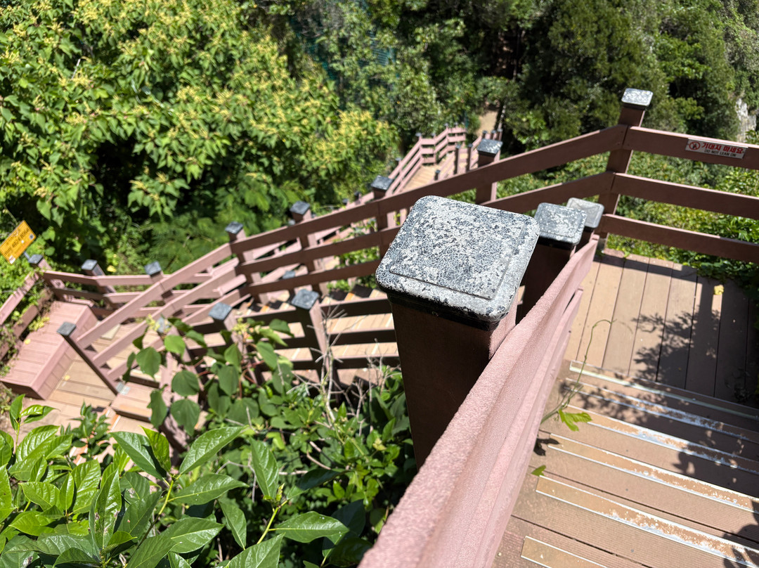Igidae Park-釜山必去景点