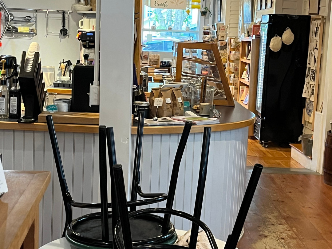 Compass Rose Books-Castine必去景点
