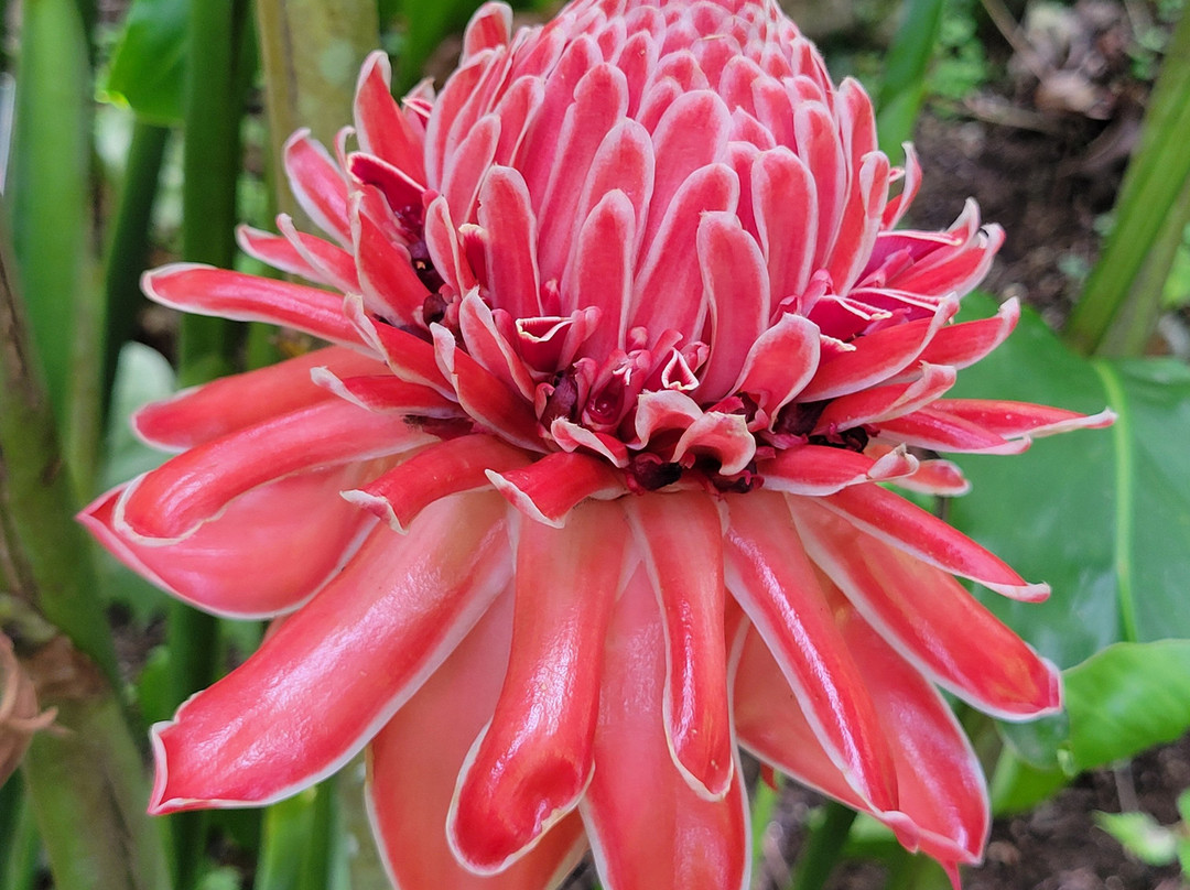 Jardin Botanique de Valombreuse-Petit-Bourg必去景点