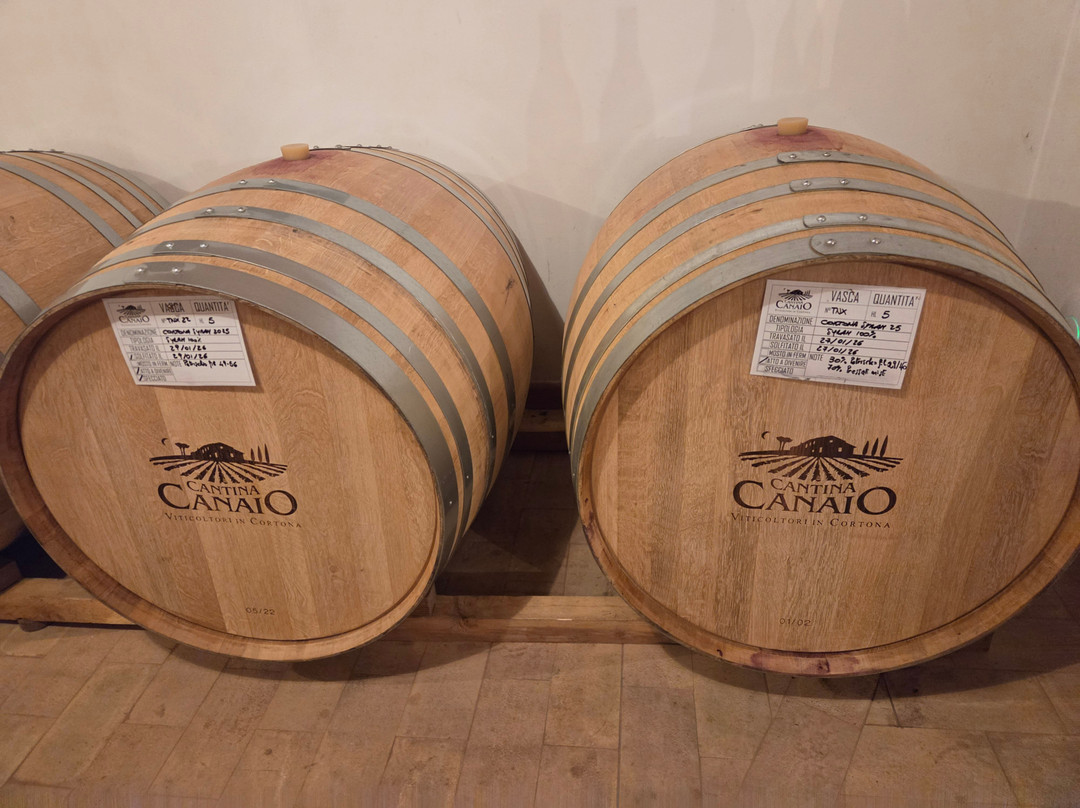 Cantina Canaio-科尔托纳必去景点