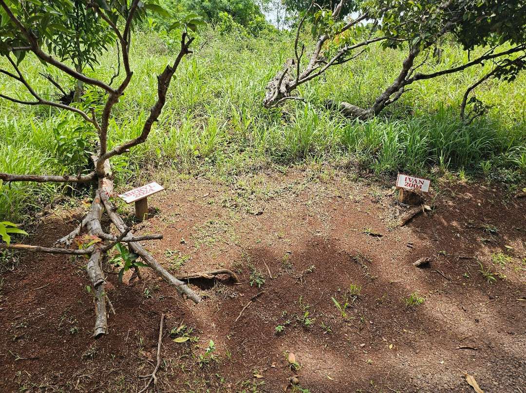 Laura's Herb & Spice Garden-St. George's必去景点