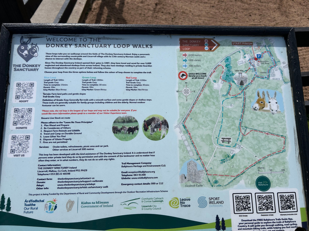 The Donkey Sanctuary-Mallow必去景点