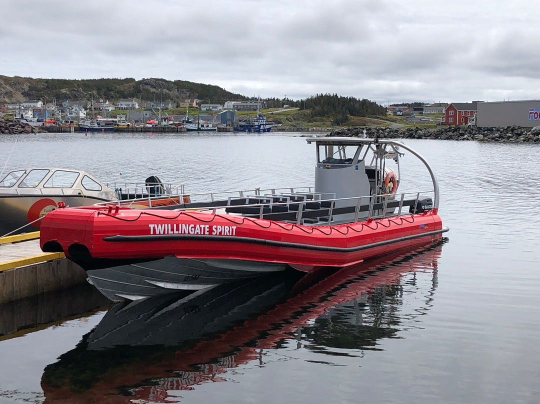 Twillingate Adventure Tours-Twillingate必去景点
