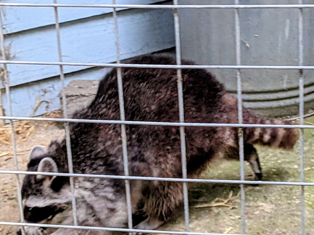Bridlington Animal Park-布里德灵顿必去景点
