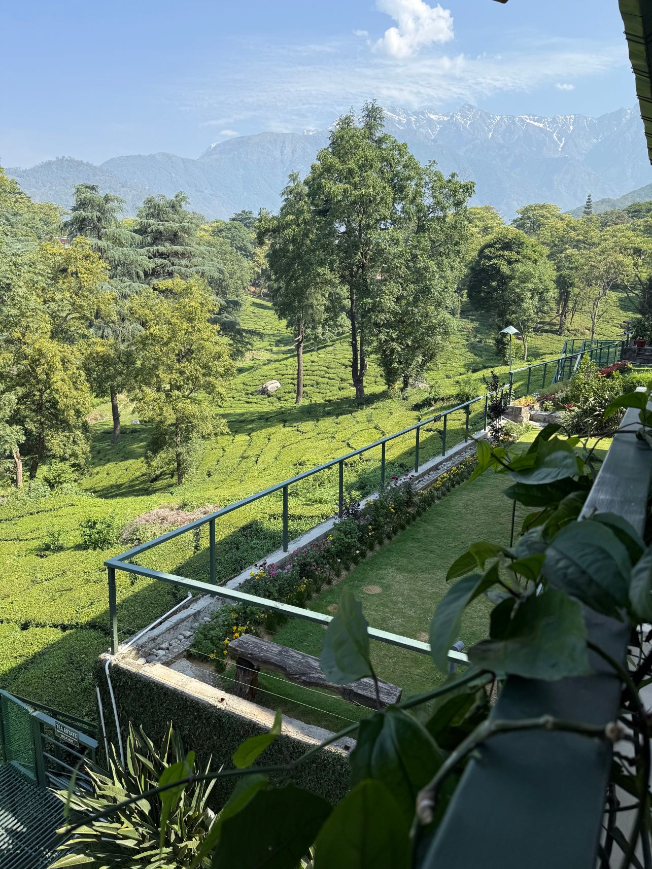 帕拉姆普尔拉姆林诺伍德绿色-旅行者