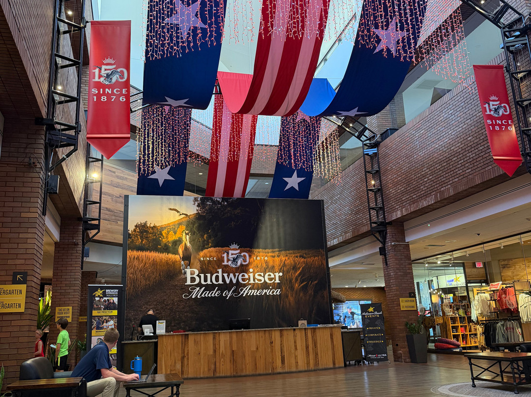 Budweiser Brewery Experience-圣路易斯必去景点