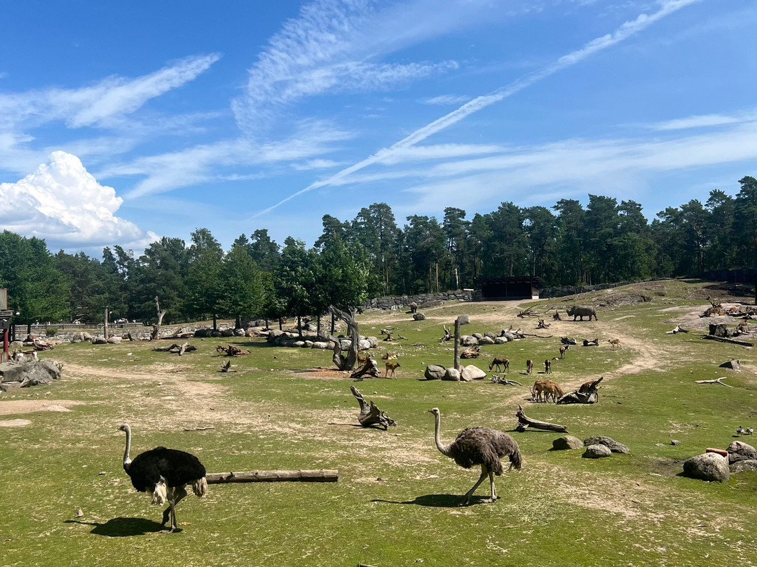 Kolmården Zoo-Kolmarden必去景点