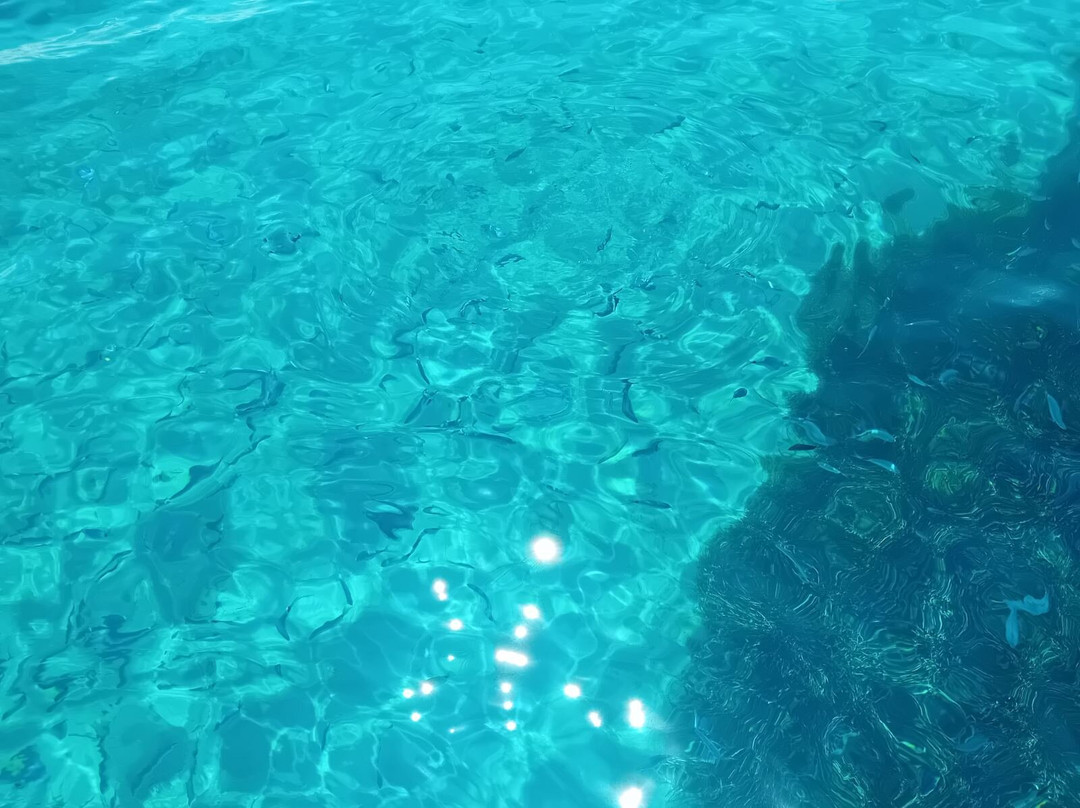 Sapienza Boats-Methoni必去景点