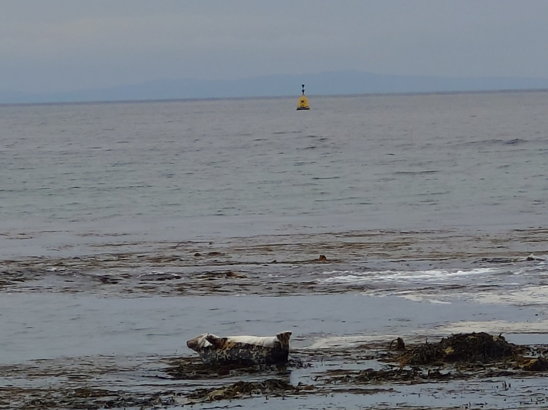 Rathlin Boathouse Visitor Centre-Rathlin Island必去景点
