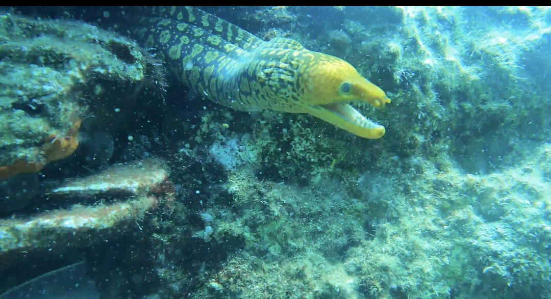 Atlantis Diving Center-Adelianos Kampos必去景点