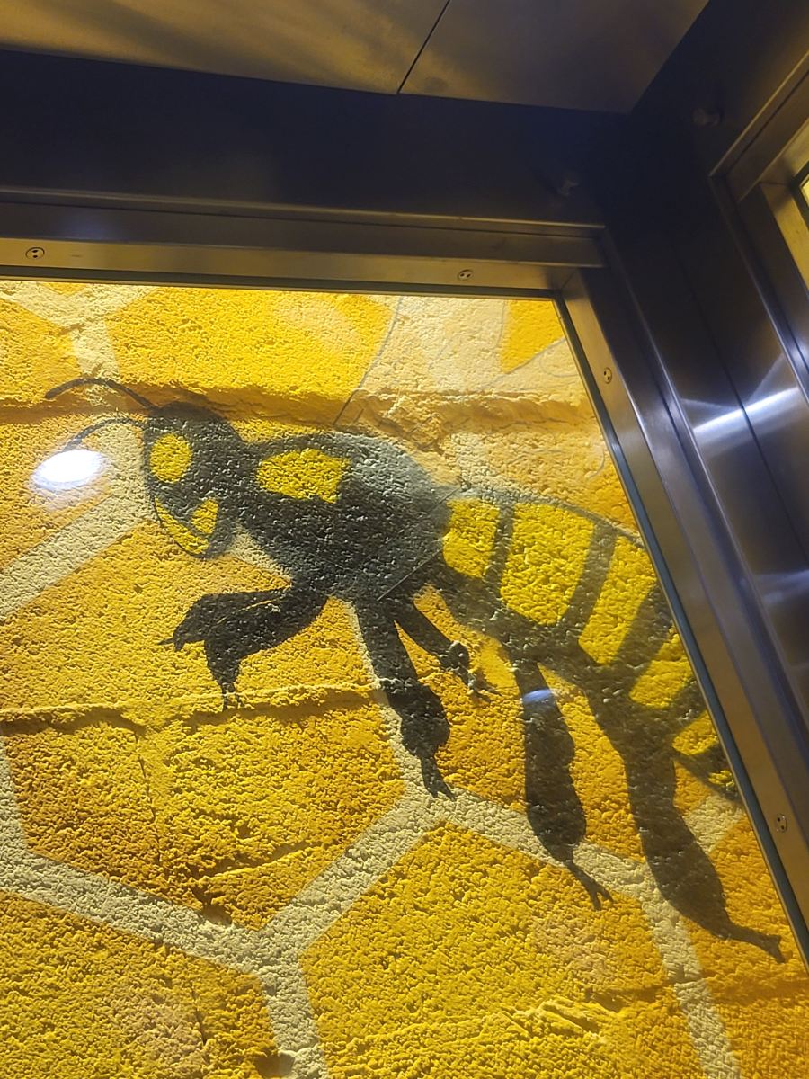 蜂巢酒店-旅行者