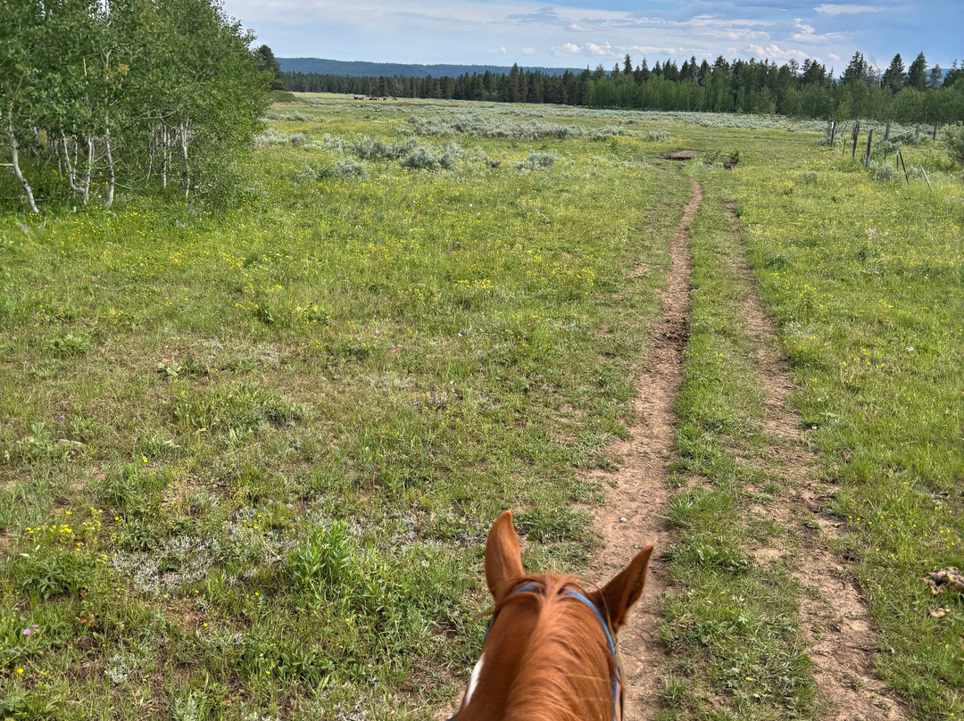 Yellowstone Horses - Eagle Ridge Ranch-艾兰帕克必去景点