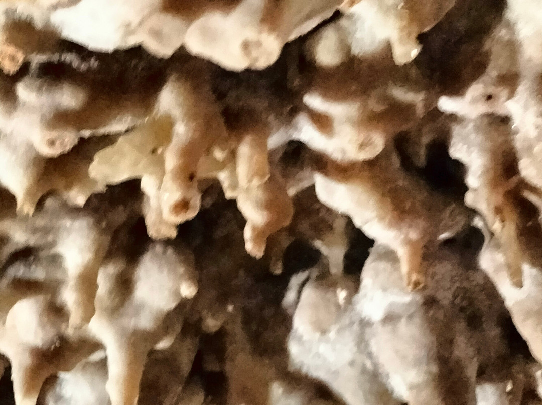 Cuevas Dels Hams-克里斯托港必去景点