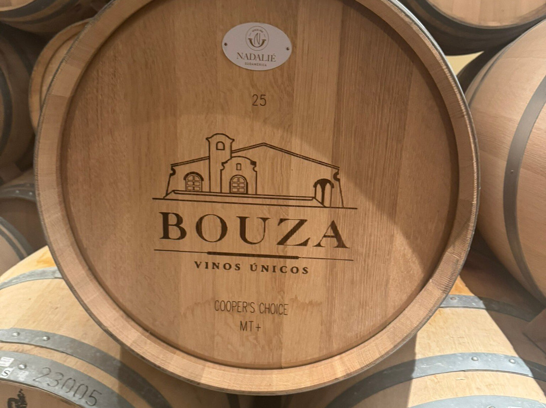 Bouza Bodega Boutique-蒙得维的亚必去景点