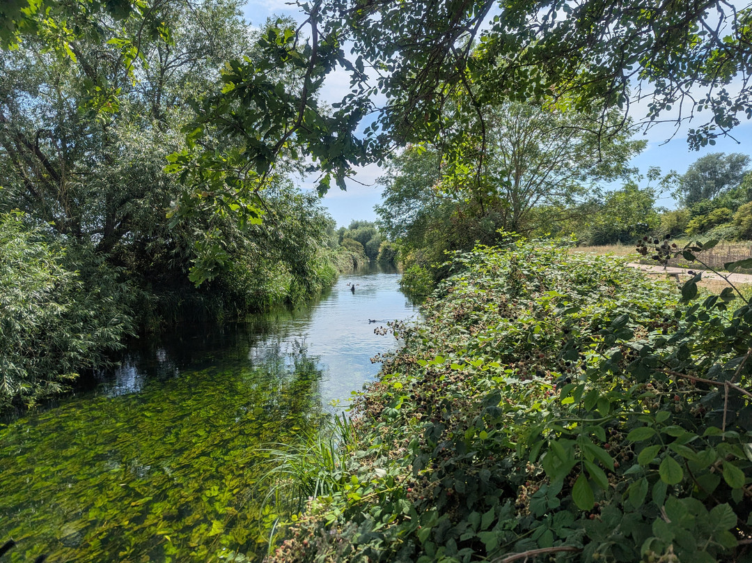 Walthamstow Wetlands-伦敦必去景点