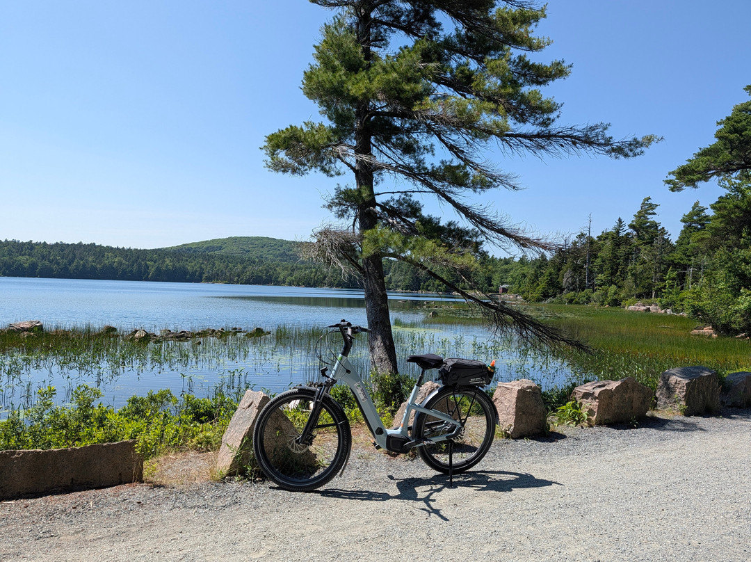 Island Bike Rental-Northeast Harbor必去景点