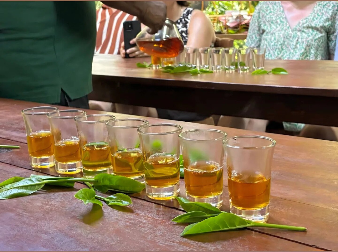 Ella Organic Tea Garden-Heeloya必去景点