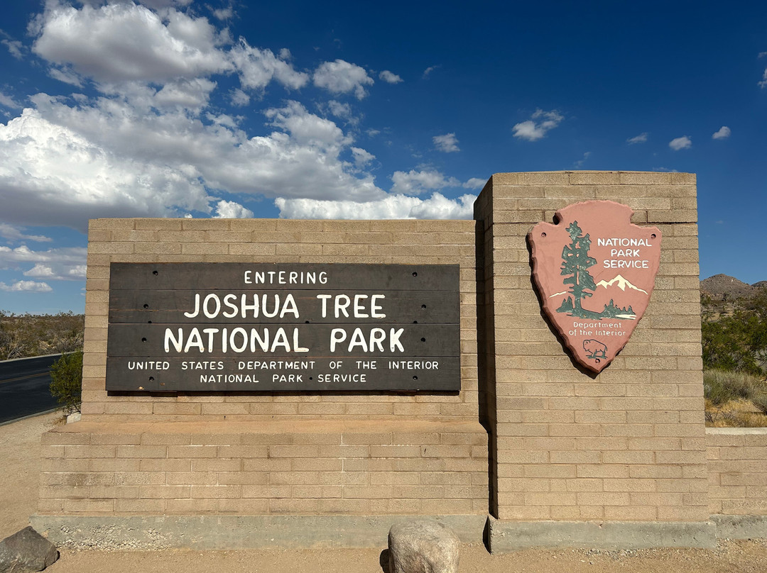 Joshua Tree National Park-约书亚树必去景点
