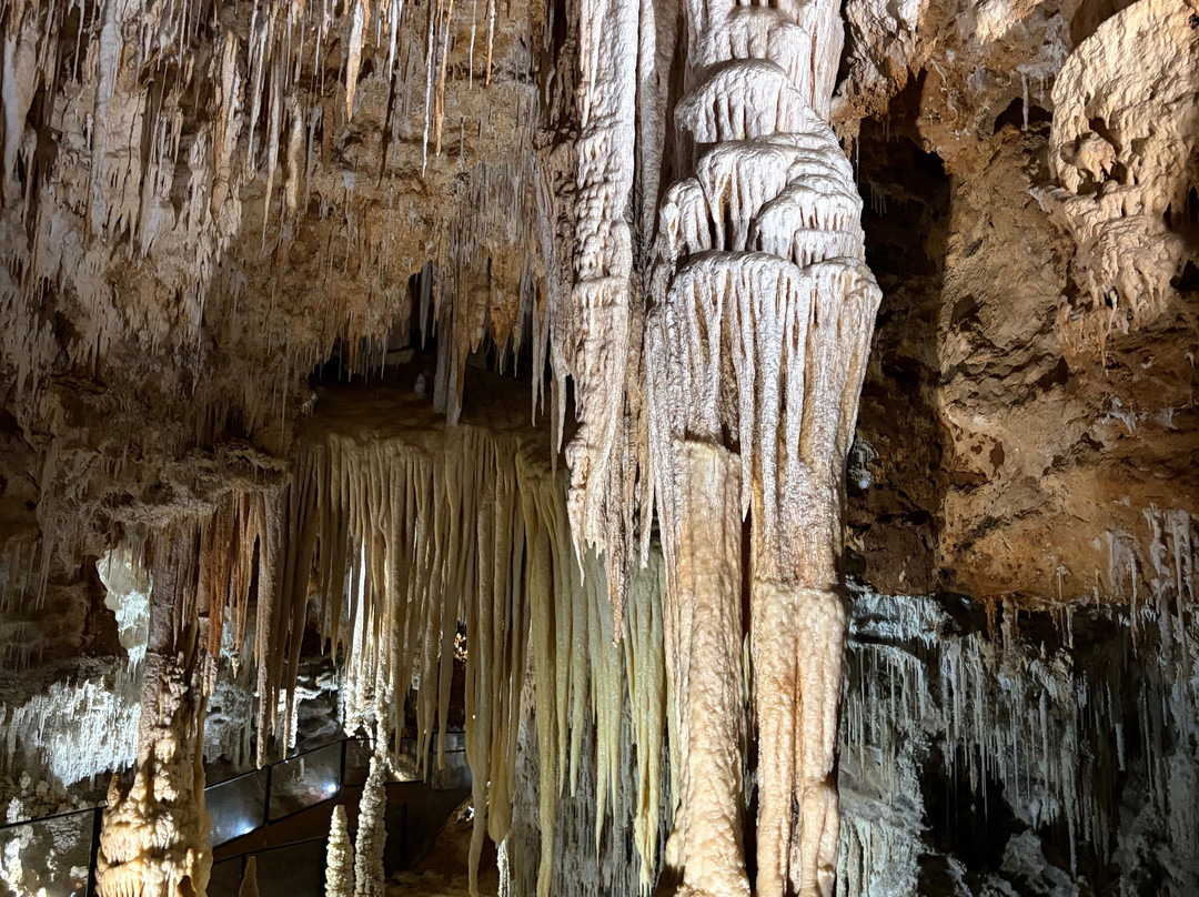 Grotte de Clamouse-Saint-Jean-de-Fos必去景点