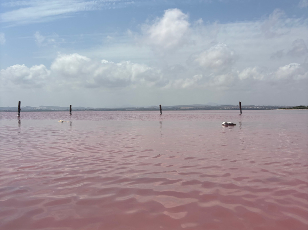 Laguna Salada de Torrevieja-托雷维耶哈必去景点