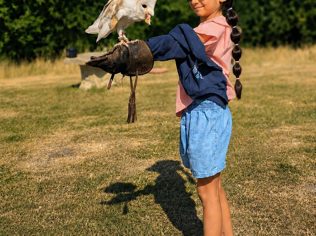 Feathers and Fur Falconry Centre-布拉克内尔必去景点
