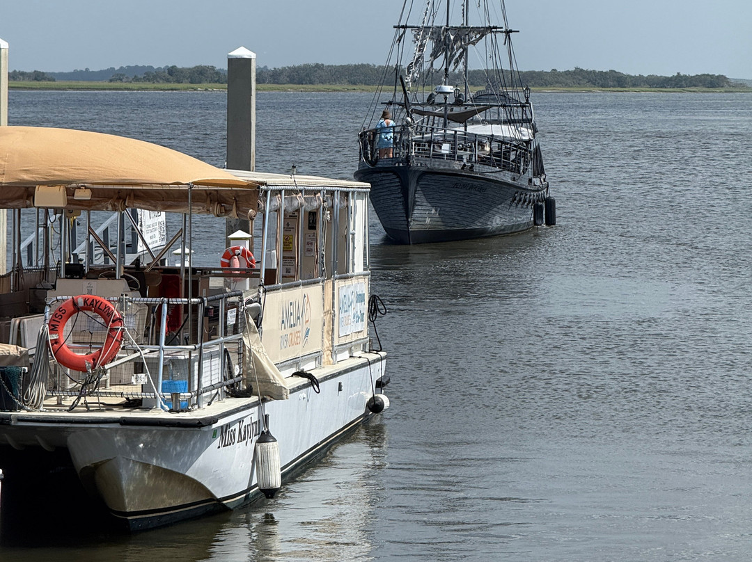 Fernandina Beach Historic District-阿米莉亚岛必去景点
