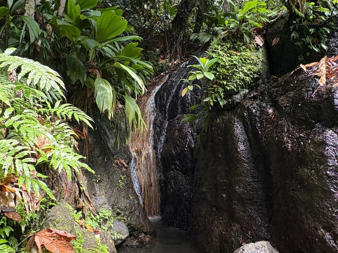 La Cascade de Bis-Sainte Rose必去景点