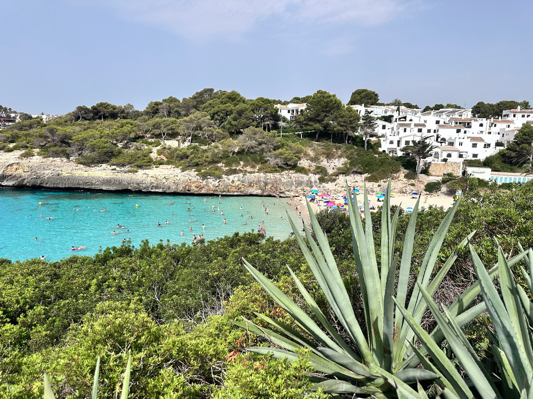Cala Anguila-马纳科尔必去景点