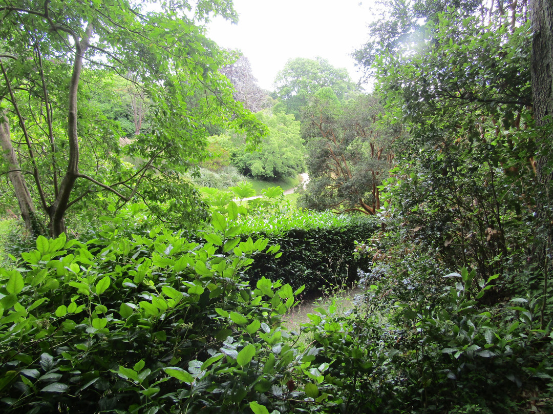 Glendurgan Garden-法尔茅斯必去景点